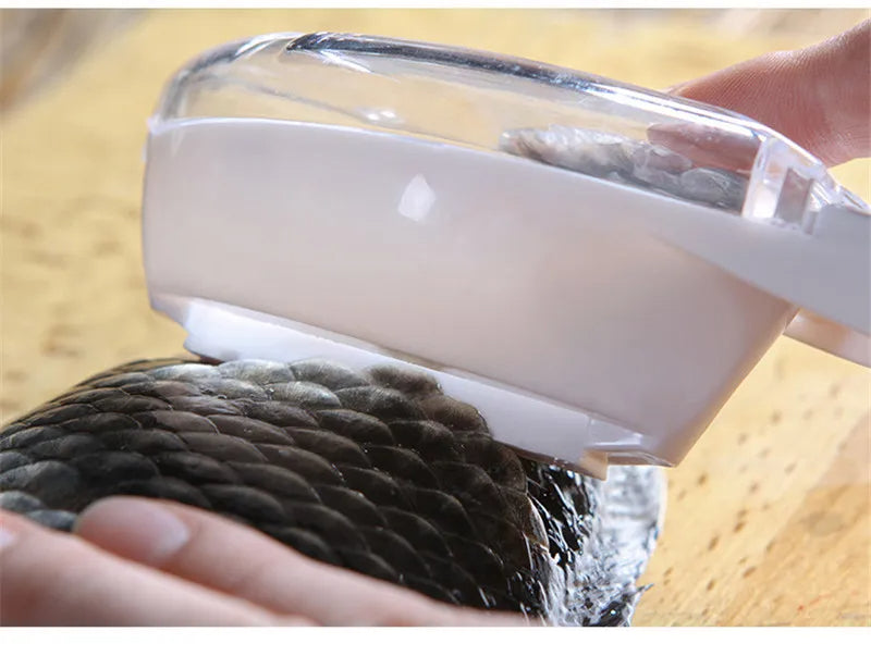 éplucheur de poisson rangement écailles